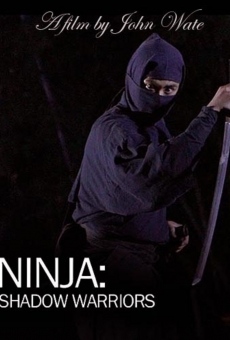 Les guerriers Ninja