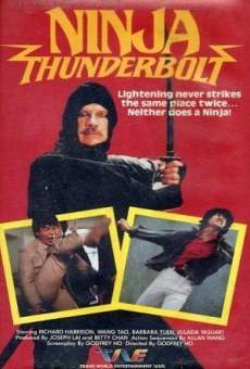 Película: Ninja Thunderbolt