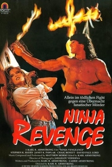 Película: Venganza Ninja