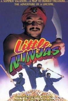 Película: Ninjas de guardería