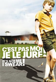 C'est pas moi, je le jure! (It's Not Me, I Swear!) (2008)