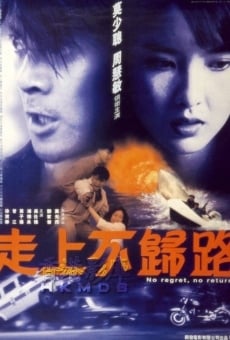 Zou shang bu gui lu (1993)