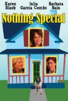 Nothing Special (2010)