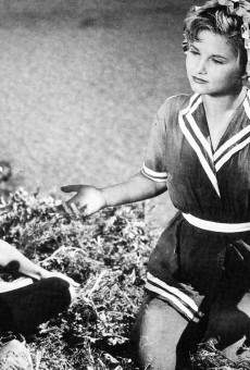 Novios para las muchachas (1941)