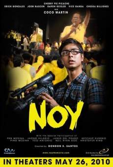 Noy (2010)
