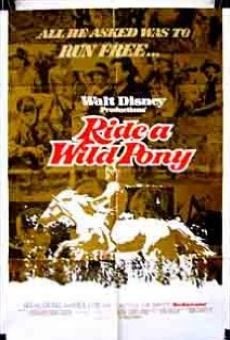 Ride a Wild Pony (1975)