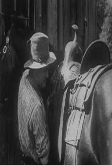 Nugget Jim's Pardner (1916)