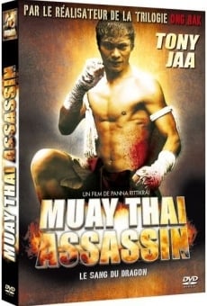 Muay Thai Assassin
