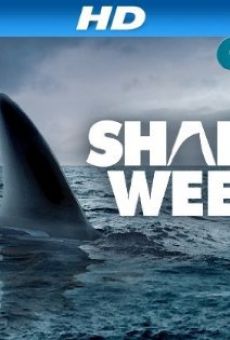 Película: Ocean of Fear: Worst Shark Attack Ever