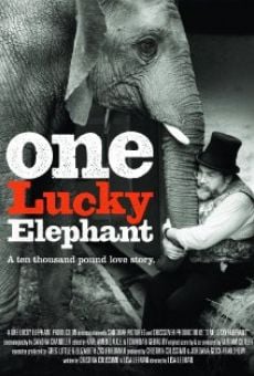 Película: One Lucky Elephant