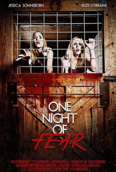 One Night of Fear online streaming