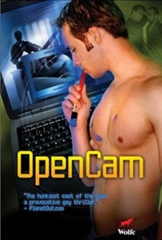 Open Cam online streaming