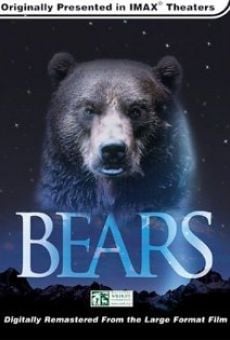 Bears on-line gratuito