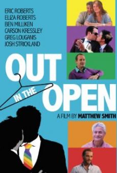 Out in the Open (2013)