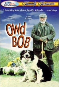 Película: Owd Bob, un perro maravilloso