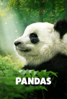 Pandas on-line gratuito