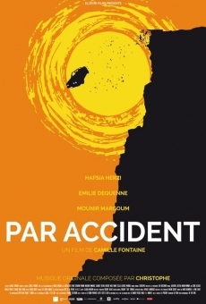Par accident (2015)