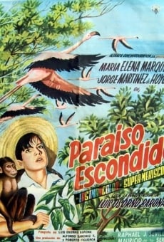 Paraíso escondido, película en español