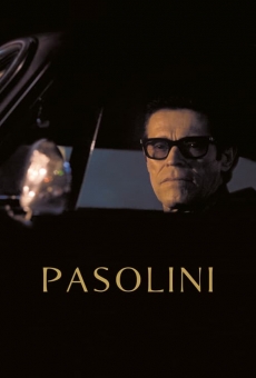 Pasolini online streaming