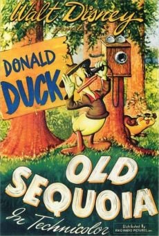 Walt Disney's Donald Duck: Old Sequoia online streaming
