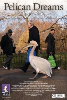 Película: Pelican Dreams