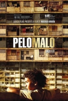 Pelo malo (2013)