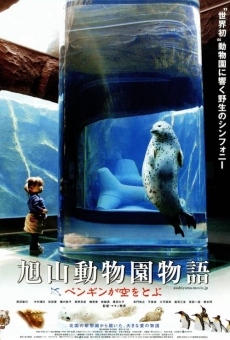 Película: Penguins in the sky - Asahiyama zoo