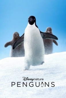 Penguins, película en español