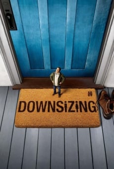 Downsizing online streaming