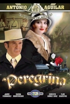 Peregrina online streaming