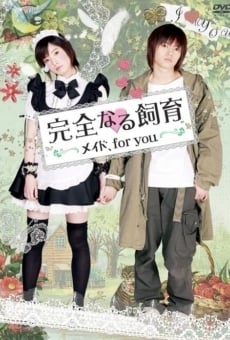 Película: Perfect Education: A Maid for You