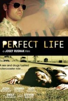 Película: Perfect Life