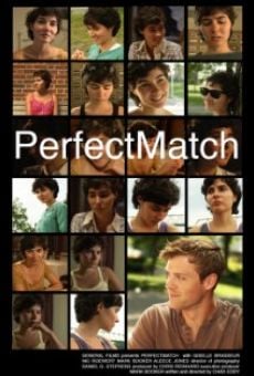 PerfectMatch (2012)