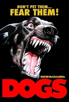 Dogs - Questo cane uccide! online streaming