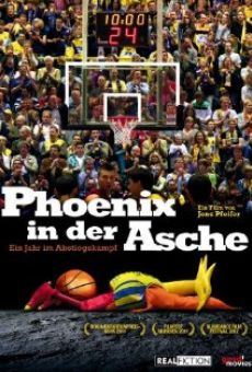 Phoenix in der Asche (2011)