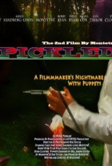 Pickled online streaming