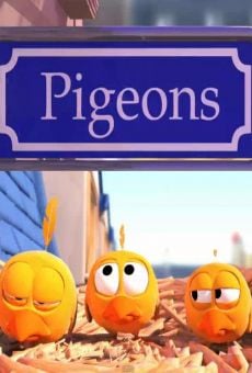 Pigeons gratis