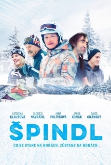 Spindl (2017)