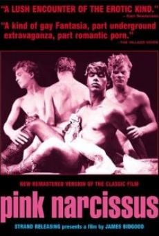Pink Narcissus online streaming