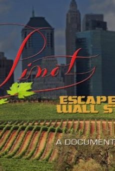 Pinot: Escape from Wall Street online streaming