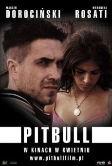 Pitbull on-line gratuito