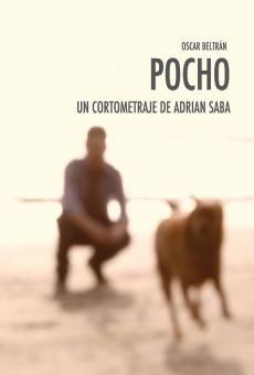 Película: Pocho