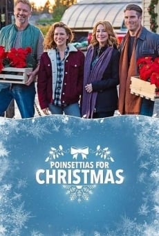 Poinsettias for Christmas (2018)