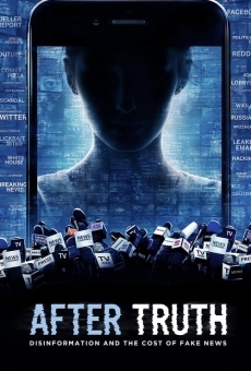 After Truth: Disinformation and the Cost of Fake News en ligne gratuit