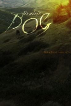 Película: Prairie Dog