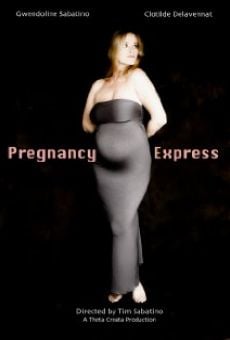 Película: Pregnancy Express