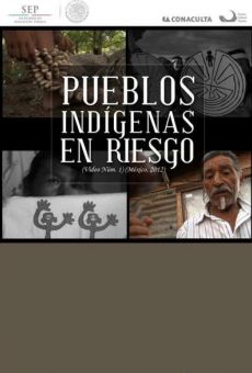 Pueblos indígenas en riesgo (2012)