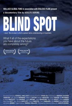 Blind Spot online streaming