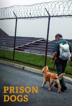 Película: Puppies Behind Bars