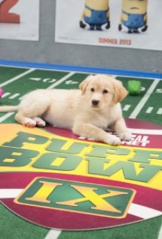 Película: Puppy Bowl IX